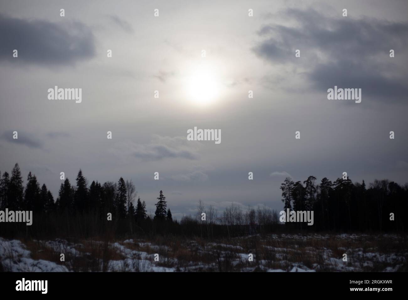 Winterlandschaft. Winterwetter. Details der Natur in Russland. Der Wald ist am Horizont. Stockfoto