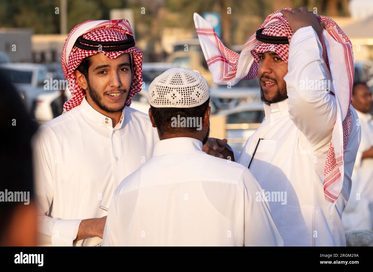 Buraydah, Saudi-Arabien, 4. August 2023: Südafrikanische Kamele und Männer auf einem Kamelmarkt Stockfoto