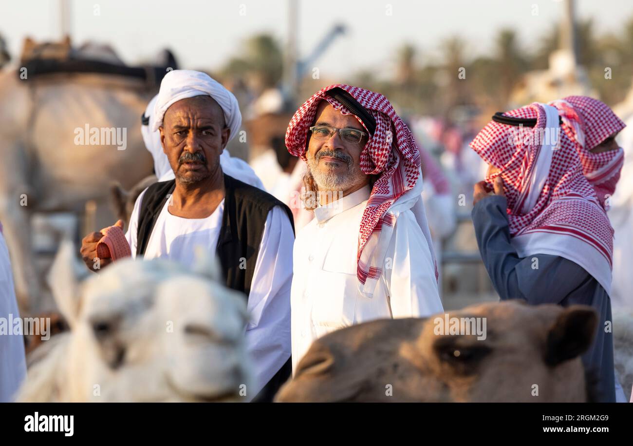 Buraydah, Saudi-Arabien, 4. August 2023: Südafrikanische Kamele und Männer auf einem Kamelmarkt Stockfoto