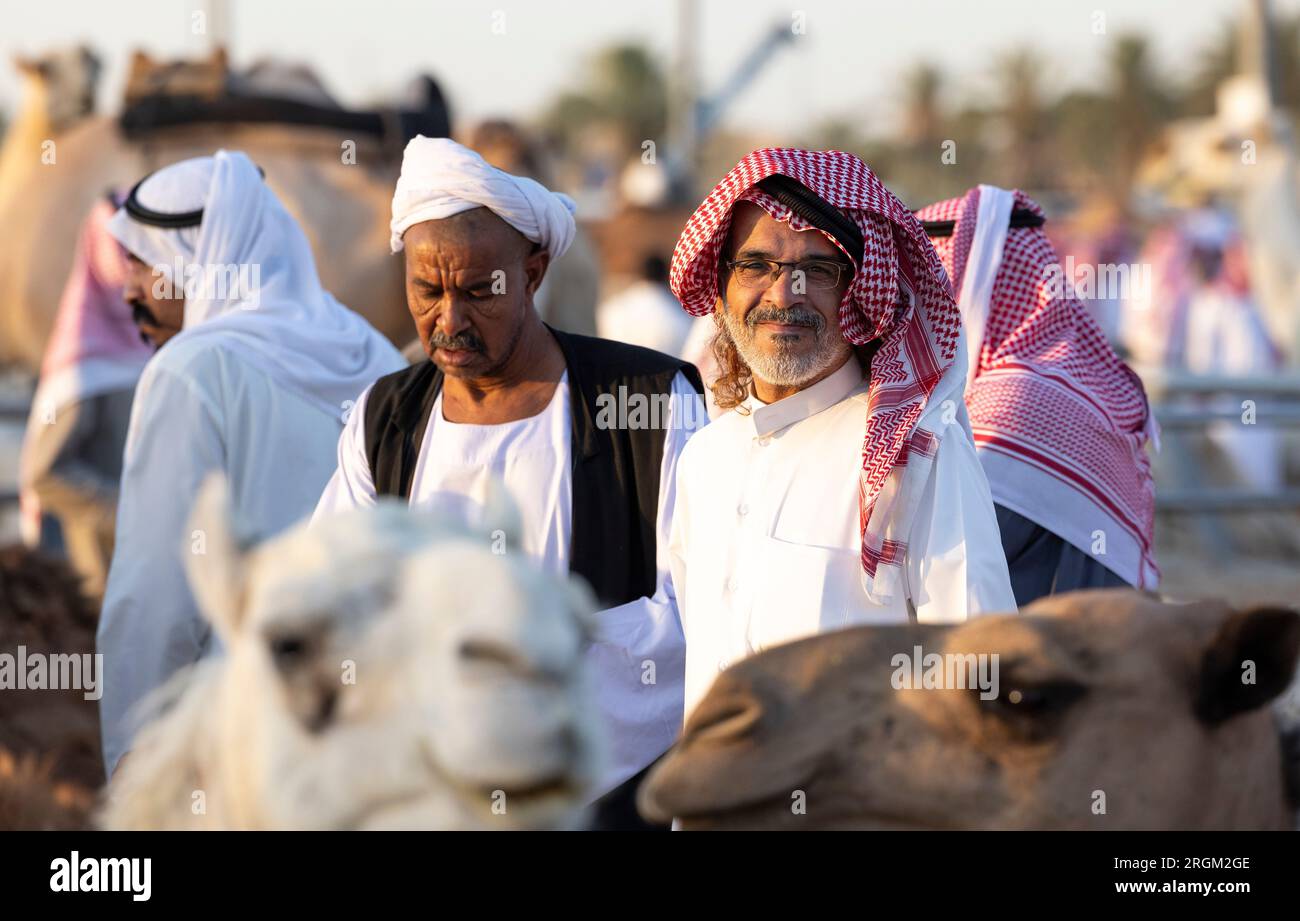 Buraydah, Saudi-Arabien, 4. August 2023: Südafrikanische Kamele und Männer auf einem Kamelmarkt Stockfoto