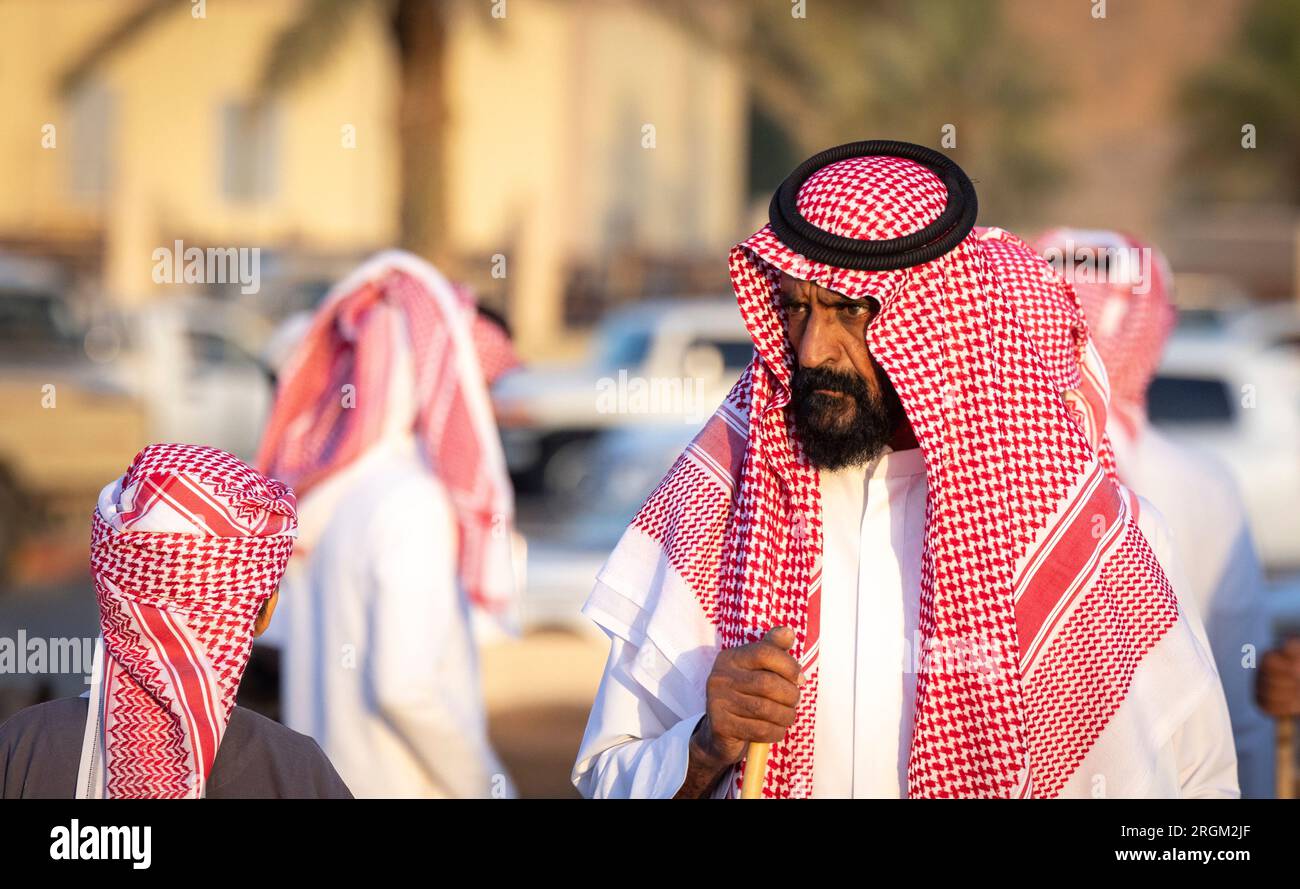 Buraydah, Saudi-Arabien, 4. August 2023: Südafrikanische Kamele und Männer auf einem Kamelmarkt Stockfoto