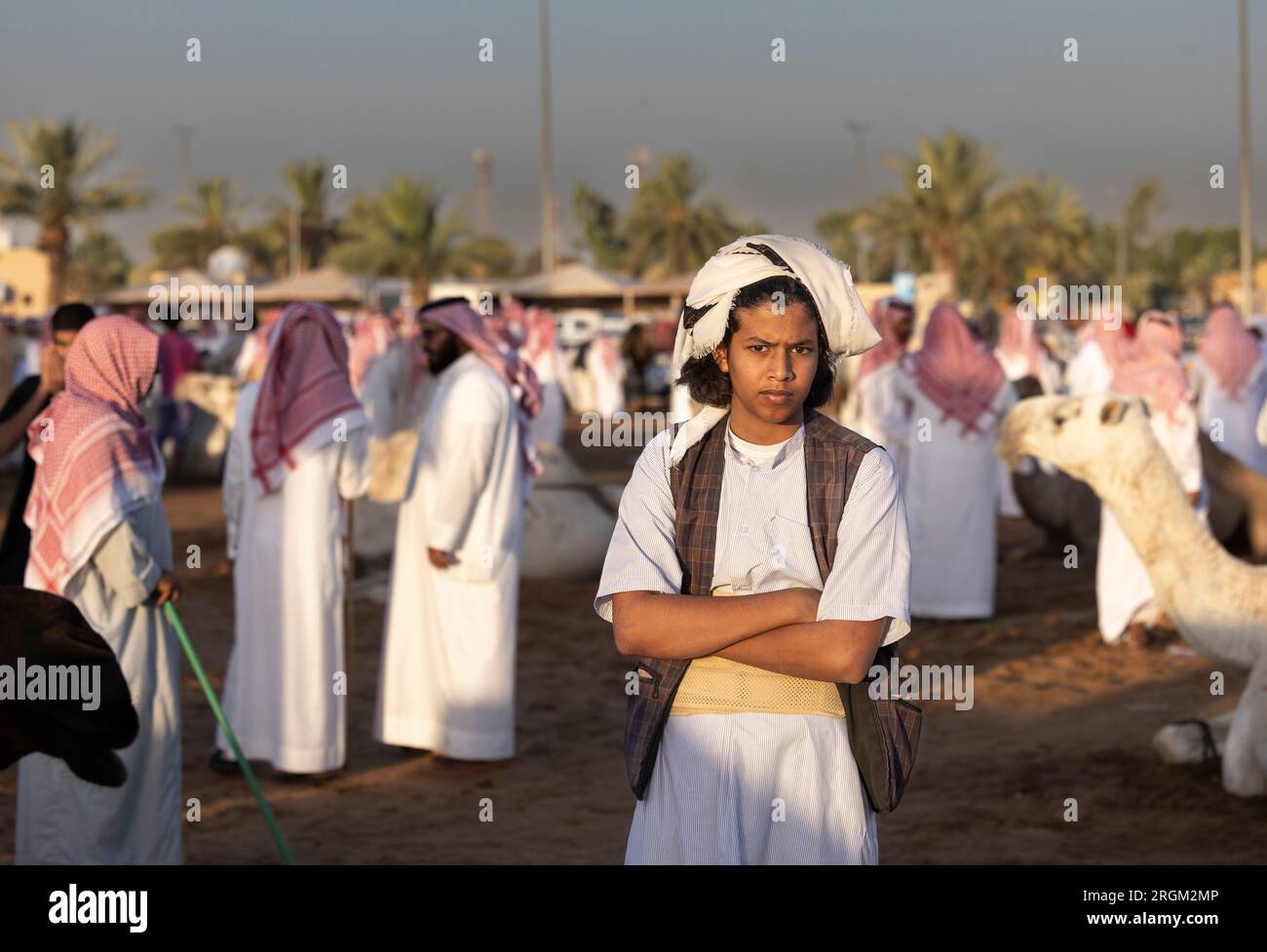 Buraydah, Saudi-Arabien, 4. August 2023: Südafrikanische Kamele und Männer auf einem Kamelmarkt Stockfoto
