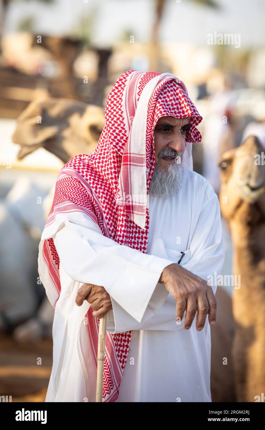 Buraydah, Saudi-Arabien, 4. August 2023: Südafrikanische Kamele und Männer auf einem Kamelmarkt Stockfoto