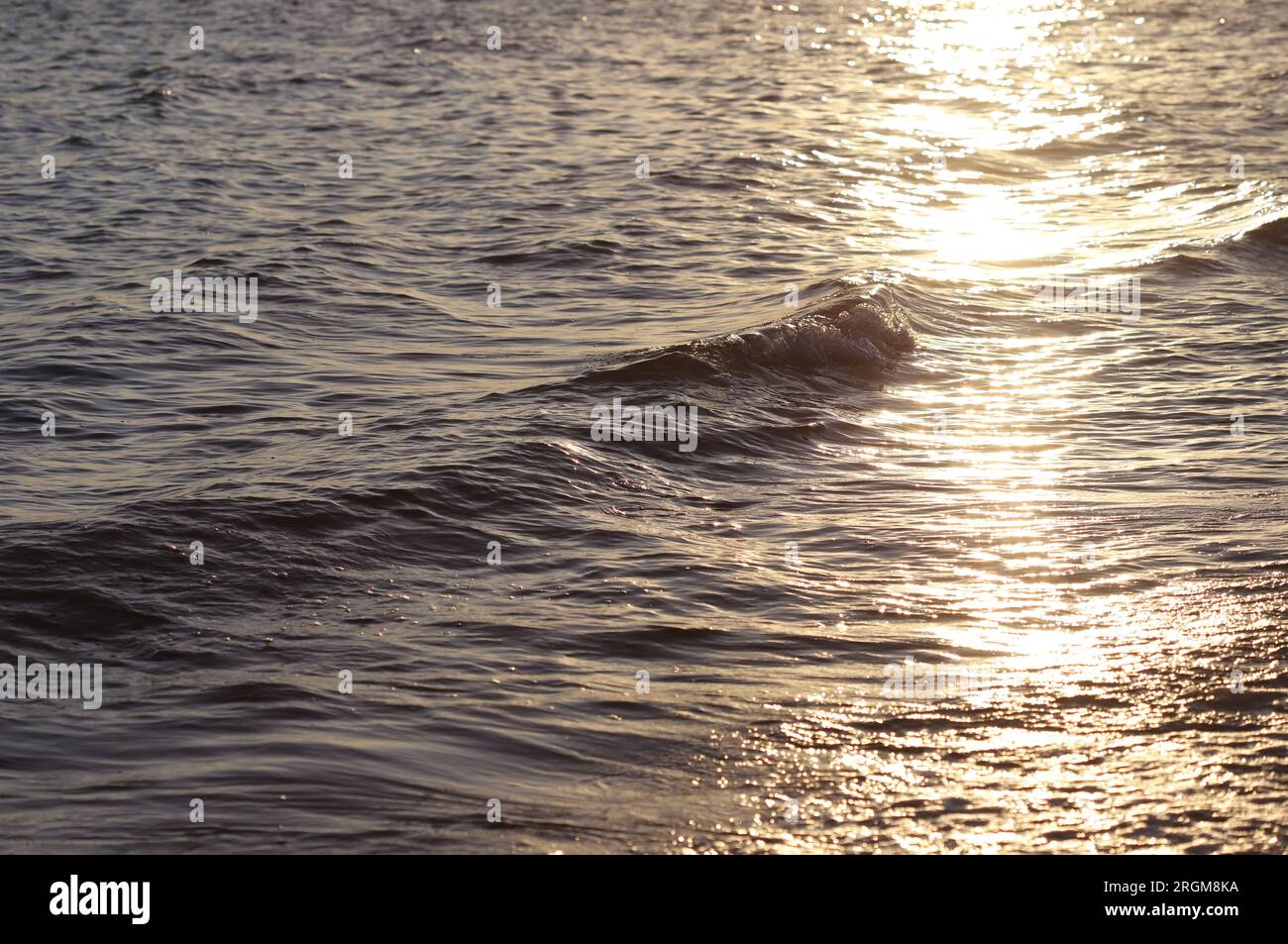 Sonnenuntergang am Meer Stockfoto