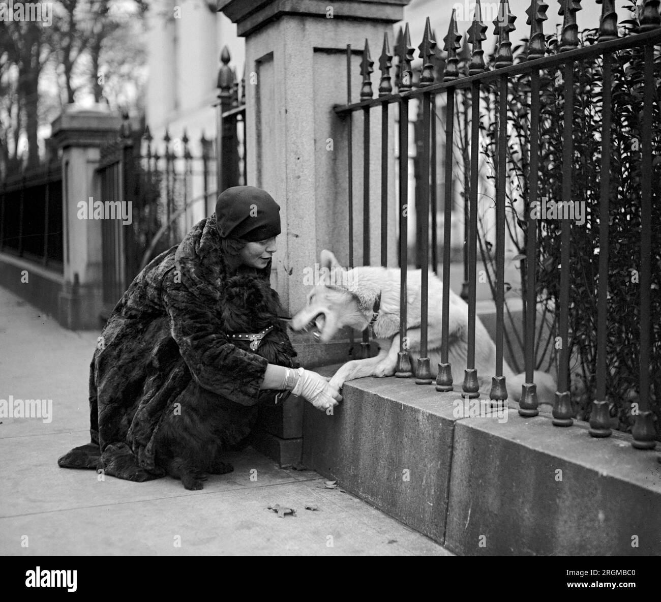 Eine Frau streichelt einen Hund im Weißen Haus - "Schneejunge" Ca. 1929 Stockfoto