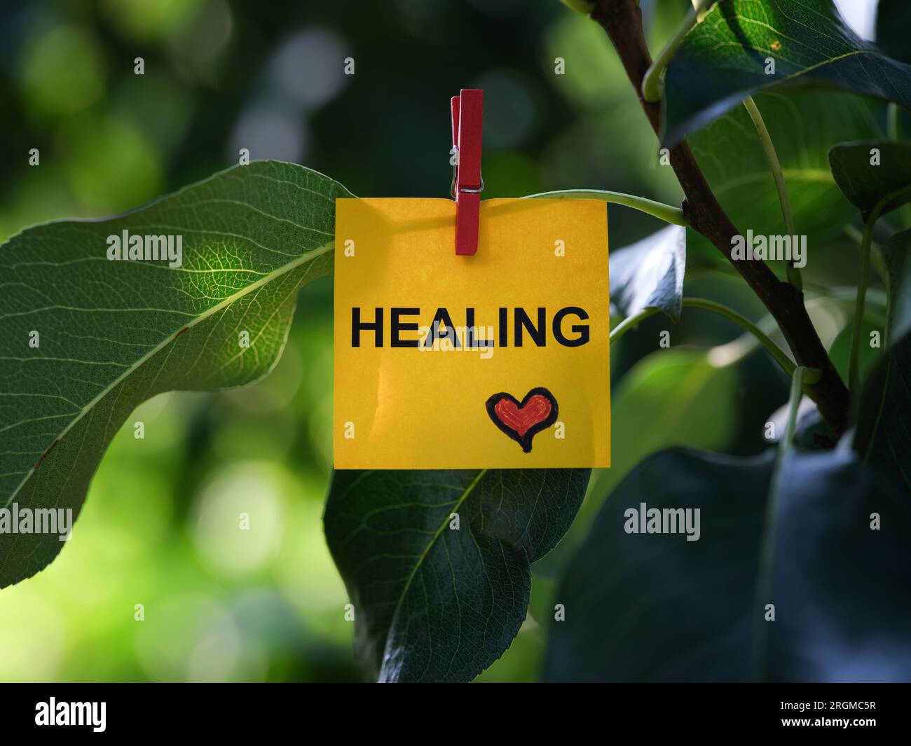 Ein gelber Zettel aus Papier mit dem Wort "Healing", der mit einer Wäscheklammer an einem Ast befestigt ist. Schließen. Stockfoto