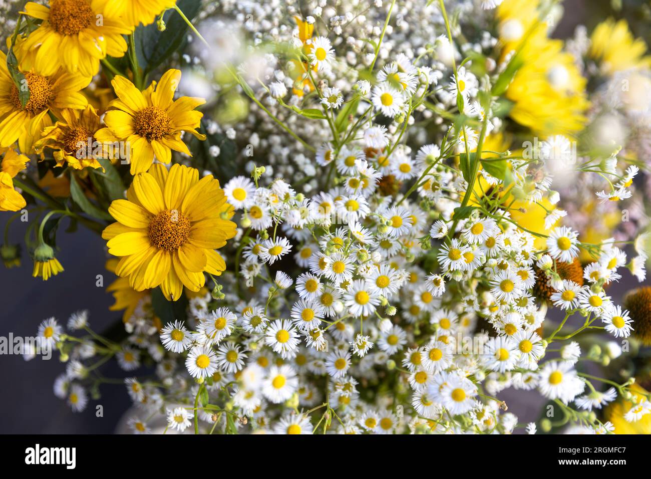 Gelbe Sonnenblumen, weiße Gänseblümchen und Gänseblümchen in einem Blumenstrauß für Geburtstage und besondere Anlässe Stockfoto