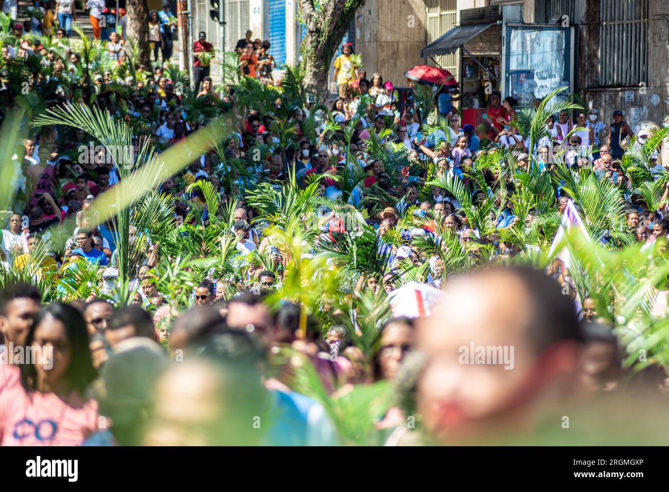 Salvador, Bahia, Brasilien - 02. April 2023: Tausende Katholiken nehmen an der Palmensonntags-Prozession Teil und halten einen Palmenzweig. Stadt Salvador, Bahi Stockfoto
