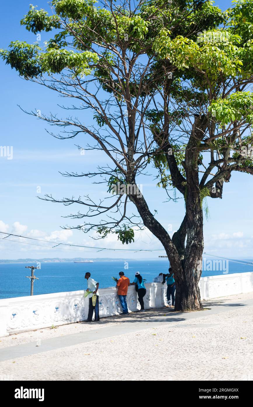 Salvador, Bahia, Brasilien - 02. April 2023: Touristen werden auf dem Platz Castro Alves unter einem Baum gesehen und genießen den Blick auf die Bucht von Todos os Santos in Salvador Stockfoto