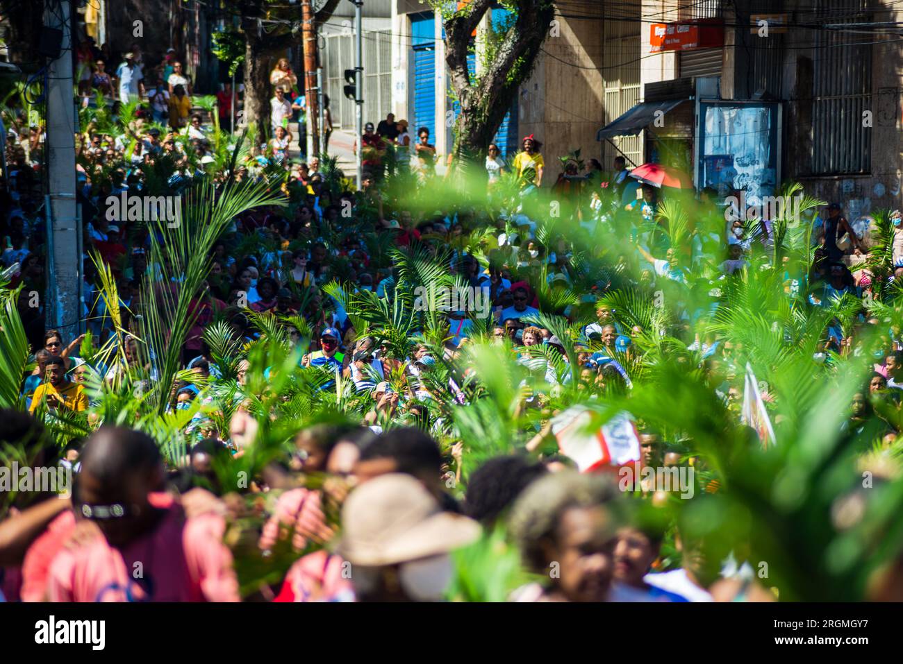 Salvador, Bahia, Brasilien - 02. April 2023: Tausende Katholiken nehmen an der Palmensonntags-Prozession Teil und halten einen Palmenzweig. Stadt Salvador, Bahi Stockfoto