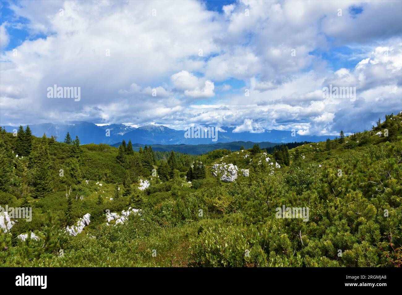 Blick auf das Karavanke-Gebirge und die Kamnik-Savinja-alpen in Gorenjska, Slowenien von Ratitovec über dem Jelovica-Plateau Stockfoto