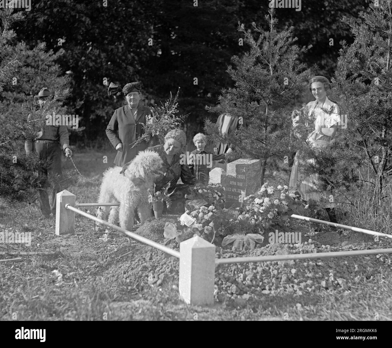 Das Foto zeigt die Beerdigung von Buster Snook, einem spanischen Pudel, auf dem Aspin Hill Animal Cemetery, Aspen Hill, Maryland. Buster gehörte Selma Snook von 65 Adams Street, N.W., Washington, D.C., Ca. 1921 Stockfoto