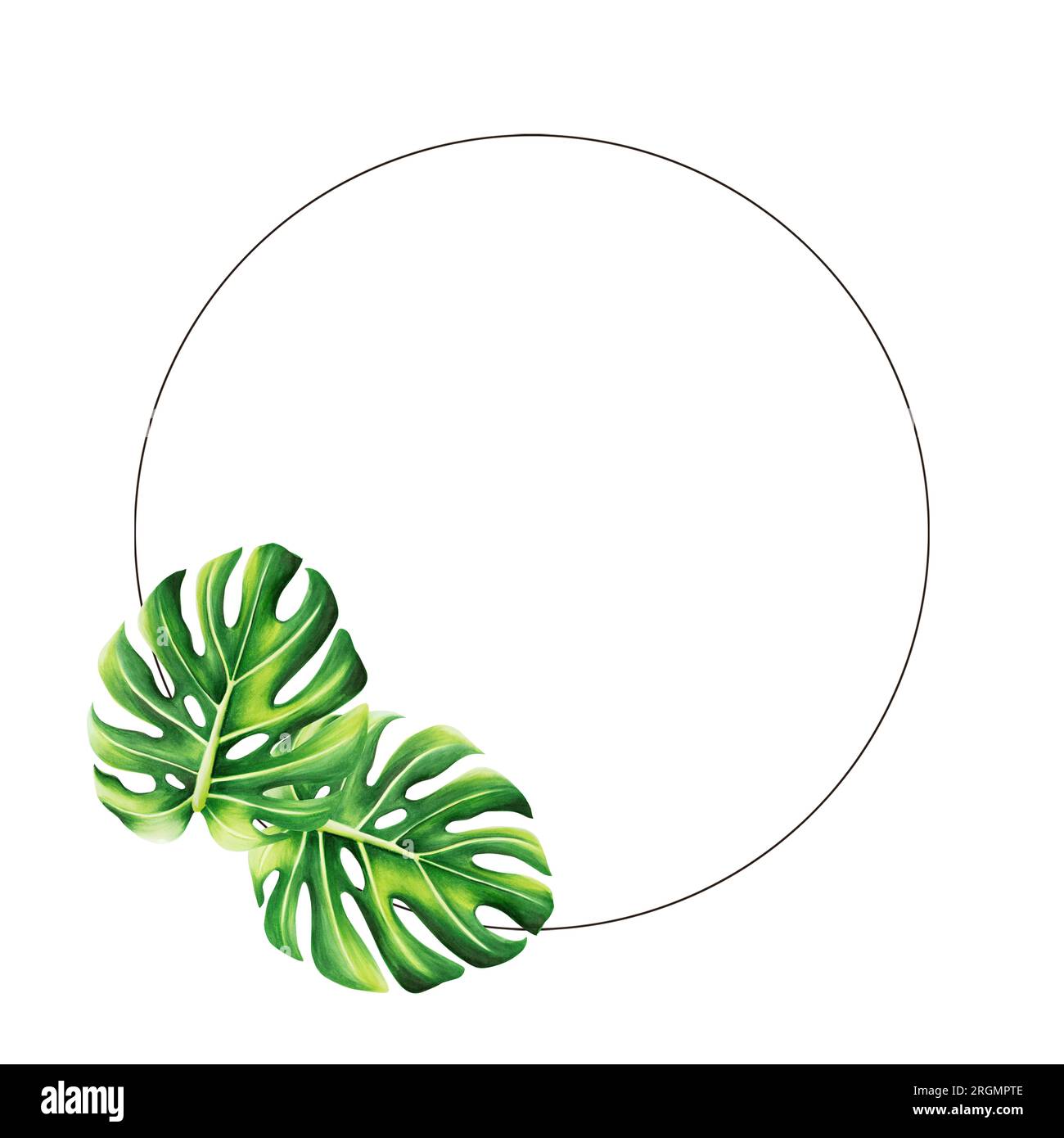 Aquarell mit realistischer tropischer Darstellung von Monstera isoliert auf weißem Hintergrund. Wunderschönes handgemaltes Logo mit Blumenmuster Stockfoto