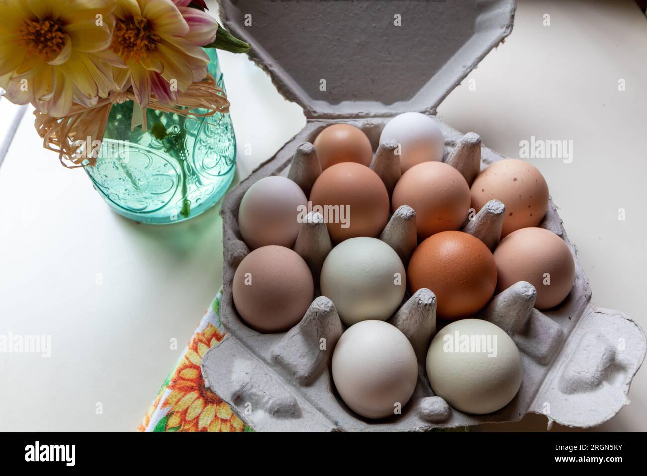 Farmbetrieb mit frischen, aus Freilandhaltung hergestellten Bio-Dutzenden von Hühnereiern mit Regenbogen in einem einzigartigen achteckigen, recycelbaren Behälter von oben Stockfoto