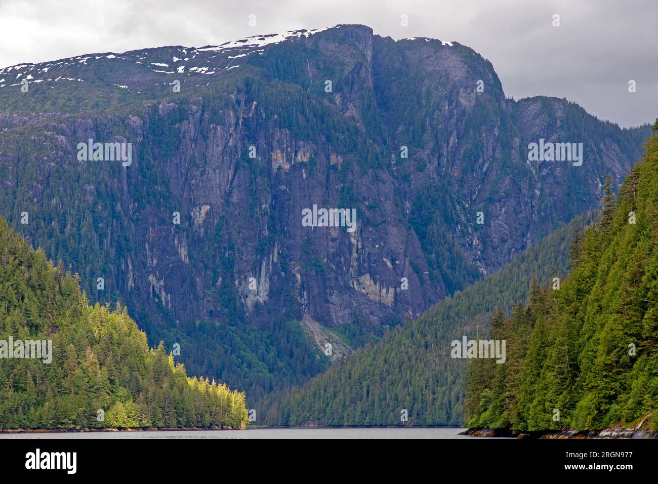 Klippen in Rudyerd Bay, Misty Fjords National Monument Stockfoto