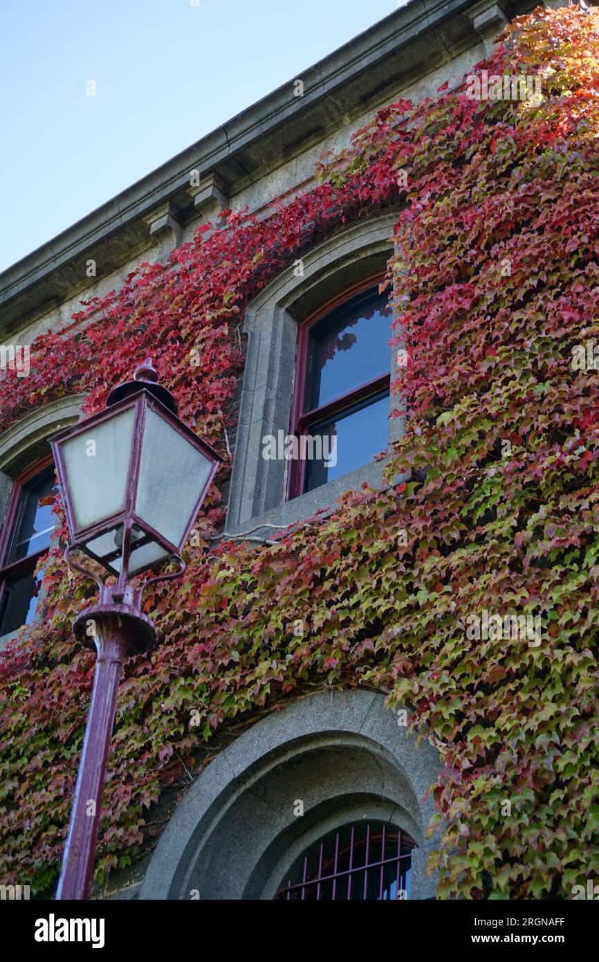 Lampenpfosten vor einem historischen Gebäude mit Herbstlaub Stockfoto