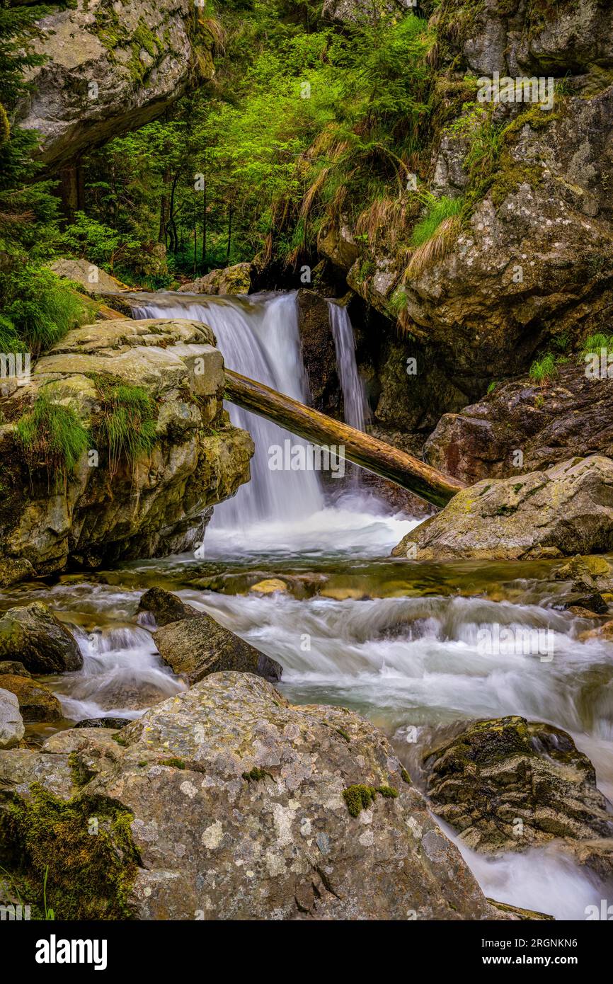 Wasserfall im Wald Rumäniens Stockfoto