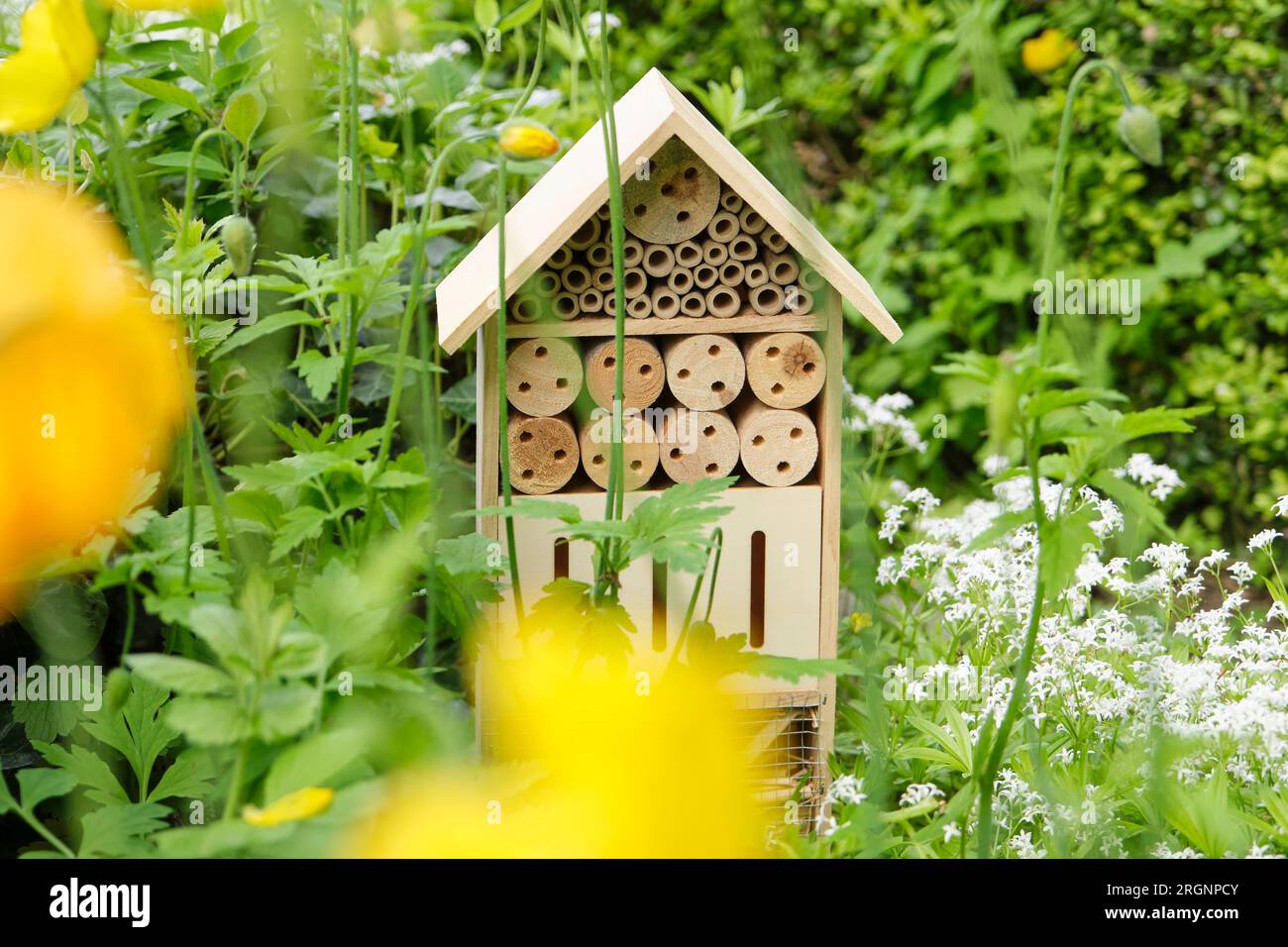 Ein Insektenhotel oder Bienenhaus in einem Sommergarten. Ein Insektenhotel ist eine künstliche Struktur, die geschaffen wurde, um Insekten in verschiedenen Formen Zuflucht zu bieten Stockfoto