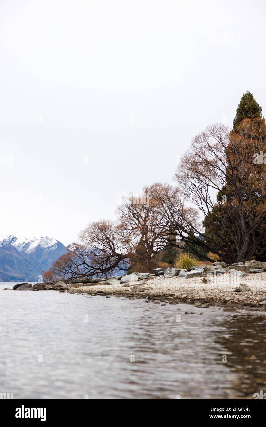 Eine Reihe von Gipfeln in Queenstown, Neuseeland. Das Bild zeigt einen See und Bäume im Vordergrund und die Berge mit Schnee auf ihren Gipfeln im b Stockfoto