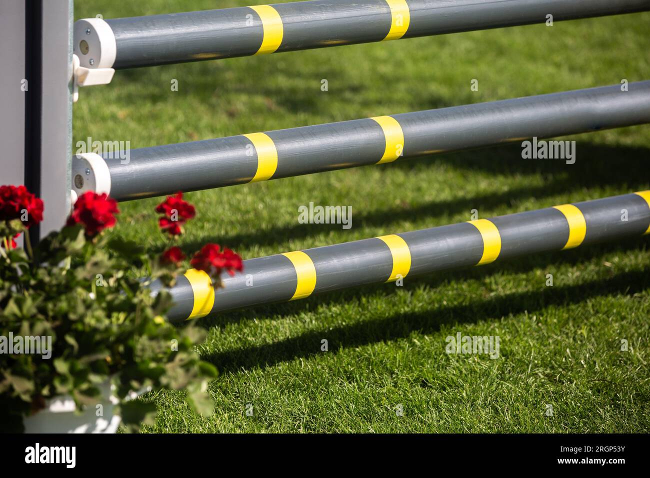 Reitsport, Pferdespringen, Springreiten, Reitspringen, Themenfoto. Stockfoto