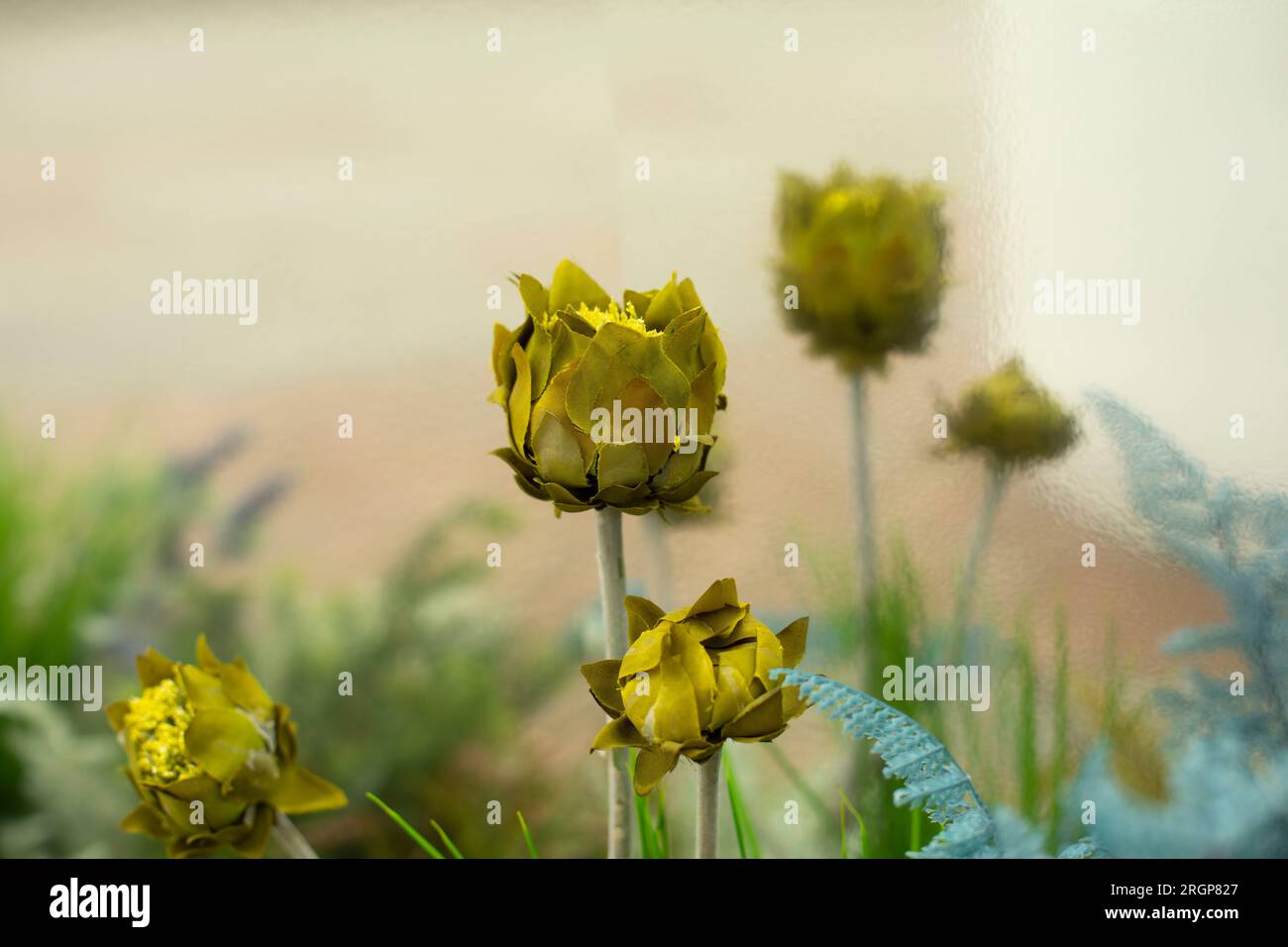 Grüner Stiel. Wunderschönes Blumenbeet. Ungewöhnliche Kräuterkombination. Stockfoto