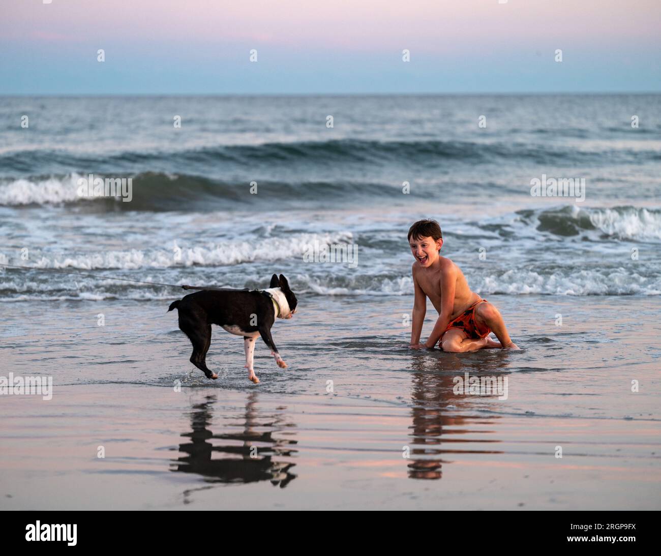Ein Junge, der mit einem Hund an einem Strand in South Carolina spielt Stockfoto