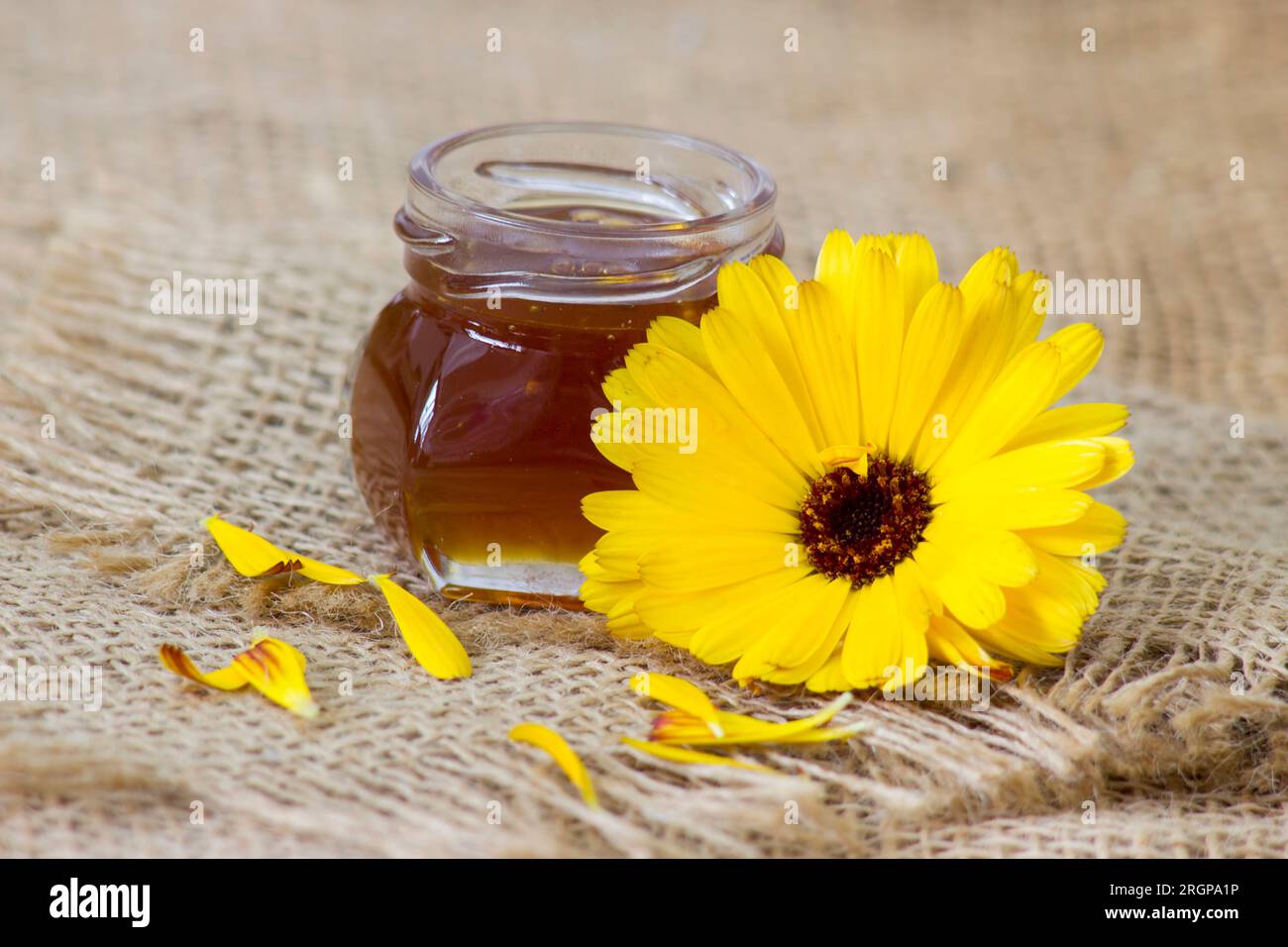 Ein Glas Honig und eine Calendula-Blume Stockfoto
