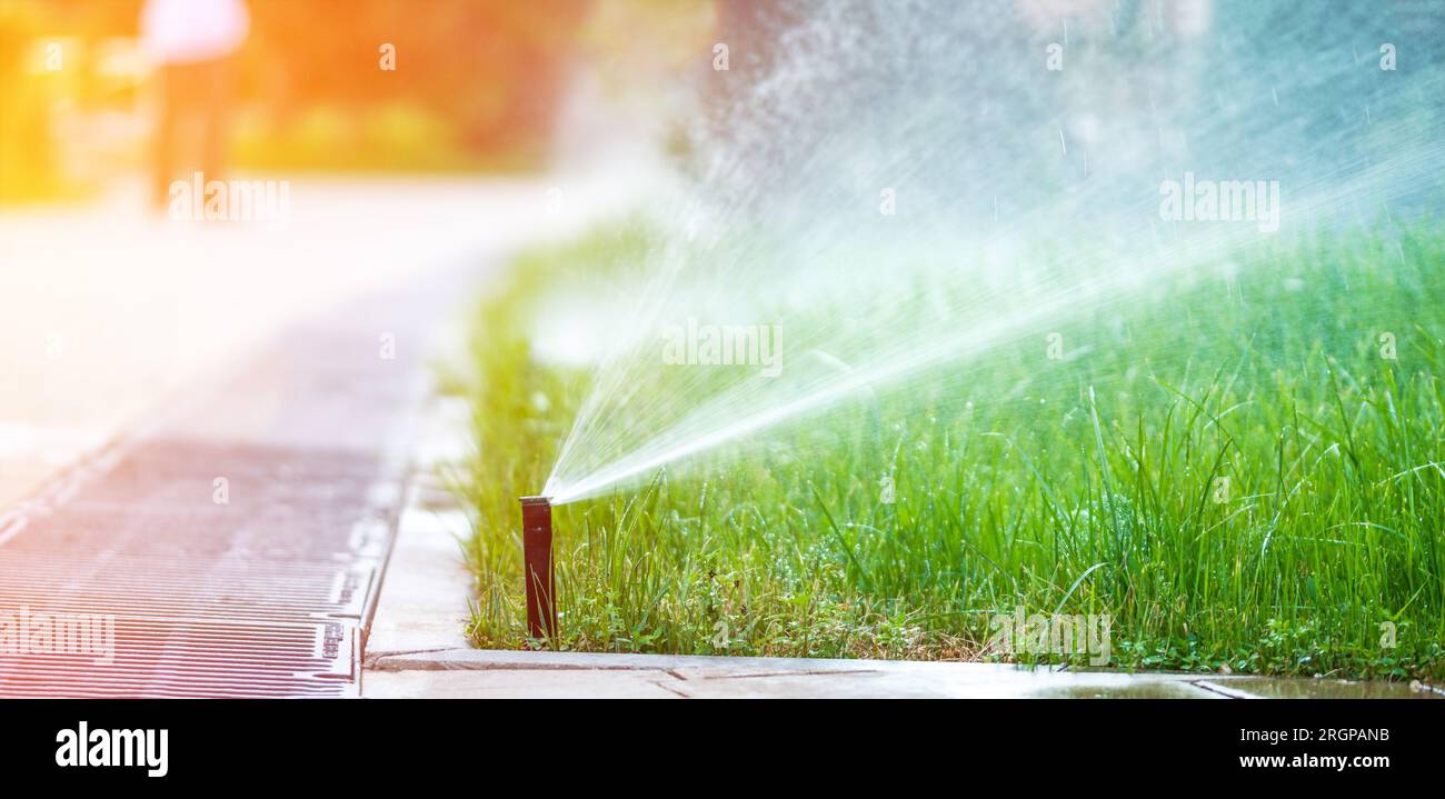 Gartenbewässerungssysteme. Automatische Sprinkler bewässern den Rasen. Sprinkler bewässern Gras, grüner Rasen im Garten Stockfoto