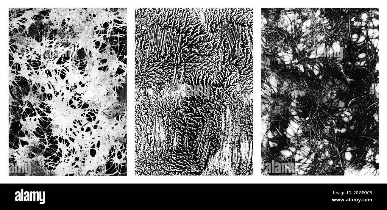 Organische Texturen mit Schwarzweißdruck, isoliert auf weißem Hintergrund, abstrakter schwarzweißer wabi-sabi-Hintergrund oder Überlagerungen, ideal für Collagen Stockfoto