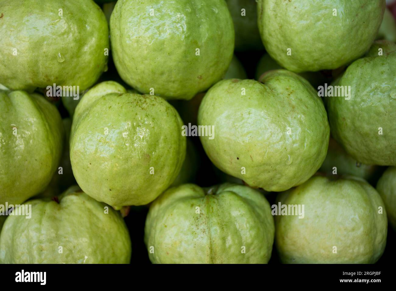 Guave ist eines der häufigsten thailändischen Früchte, die Sie auf der Straße finden. Er hat etwa die gleiche Größe wie ein Apfel mit hellgrüner Haut, weißem Fruchtfleisch und Th Stockfoto