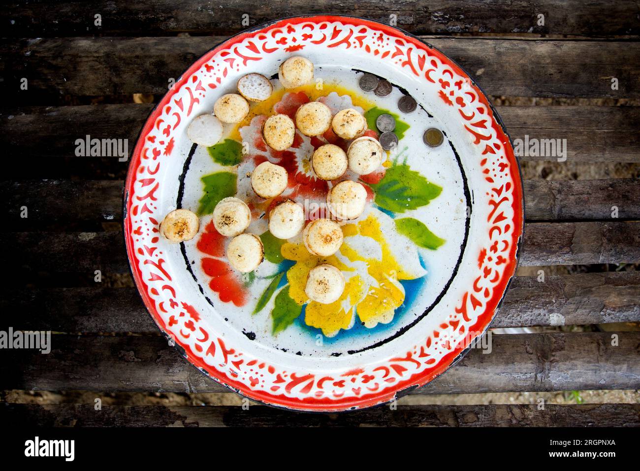 Frau bereitet Kokosnuss-thai-Desserts zu. Kanom krok ist ein leckeres thailändisches Mini-Pfannkuchen auf Kokosnussmilchbasis, das ebenfalls beliebt ist. Stockfoto