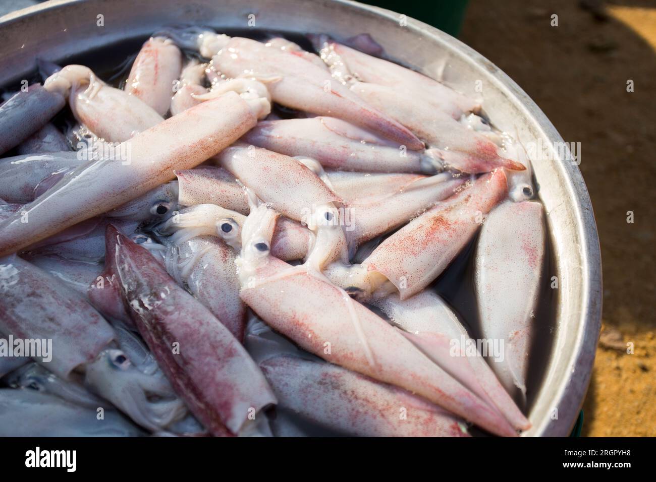 Fischstand auf einem Strandmarkt in Sichon Provice im Süden Thailands. Stockfoto