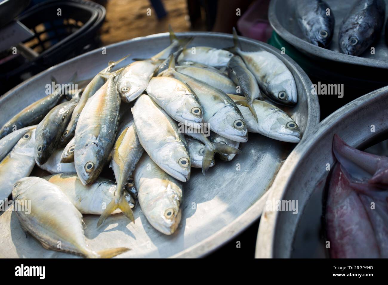 Fischstand auf einem Strandmarkt in Sichon Provice im Süden Thailands. Stockfoto