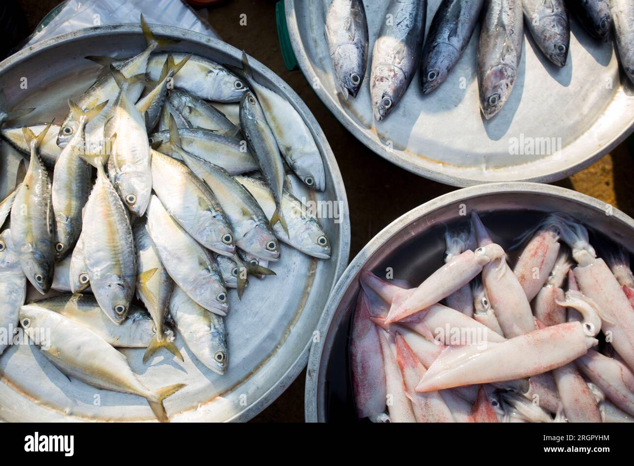 Fischstand auf einem Strandmarkt in Sichon Provice im Süden Thailands. Stockfoto
