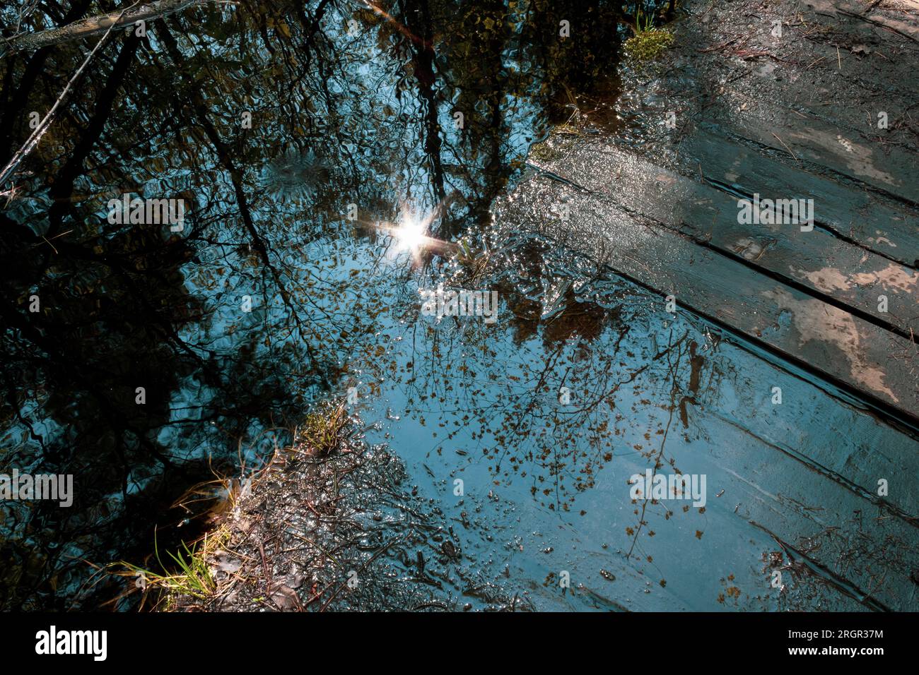 Eine versunkene, verfallende Promenade reflektiert das Sonnenlicht durch Frühlingsblätter Stockfoto