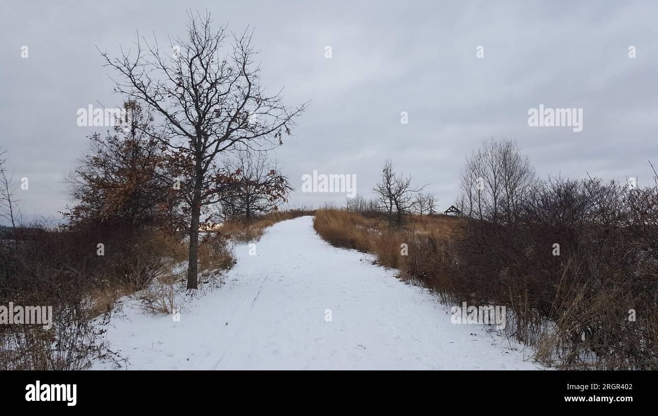 Verschneiter Wanderweg mit einem Baum in der Nähe Stockfoto