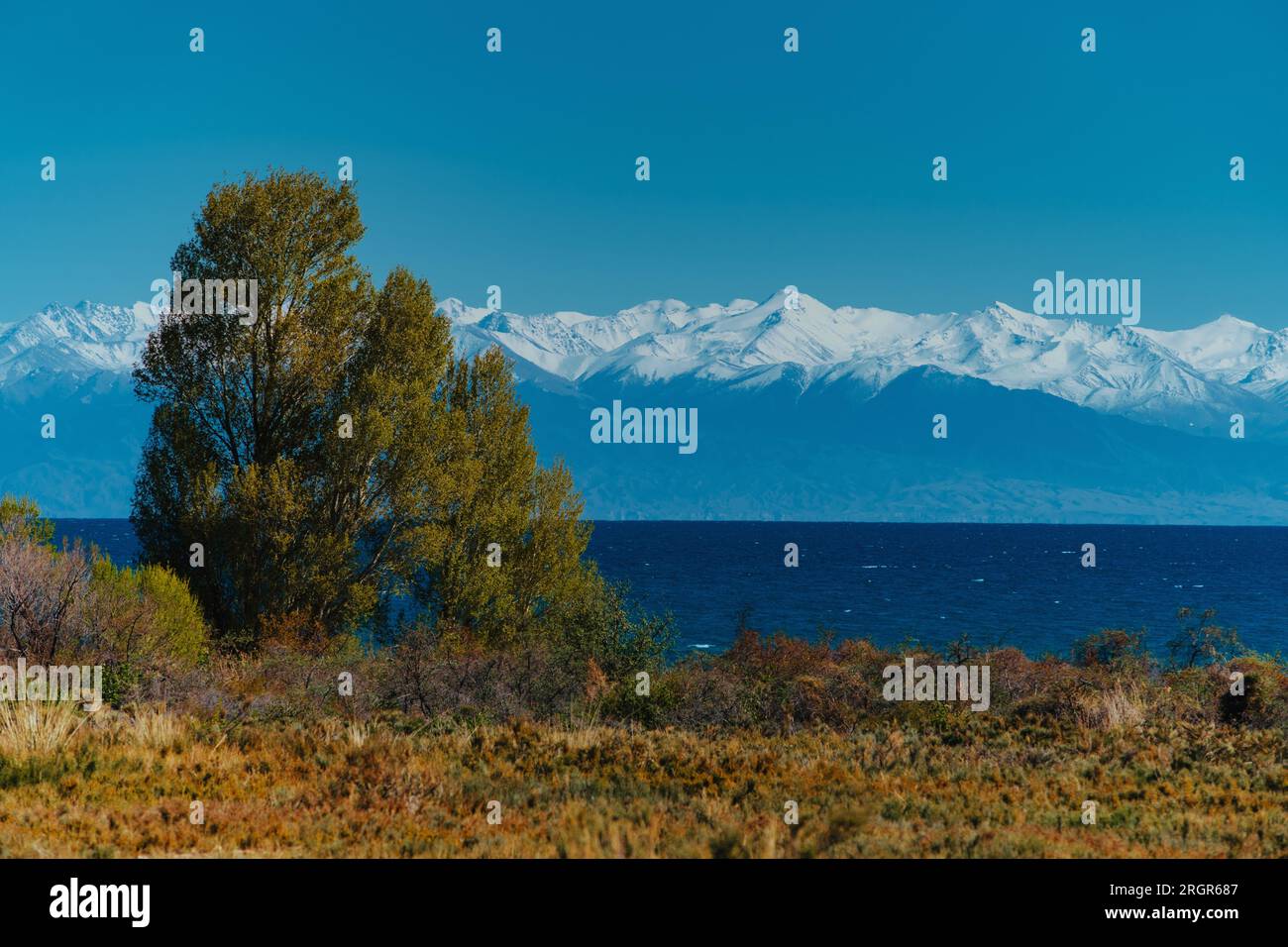 Frühlingslandschaft mit Bäumen und See, Kirgisistan, Issyk-Kul Stockfoto