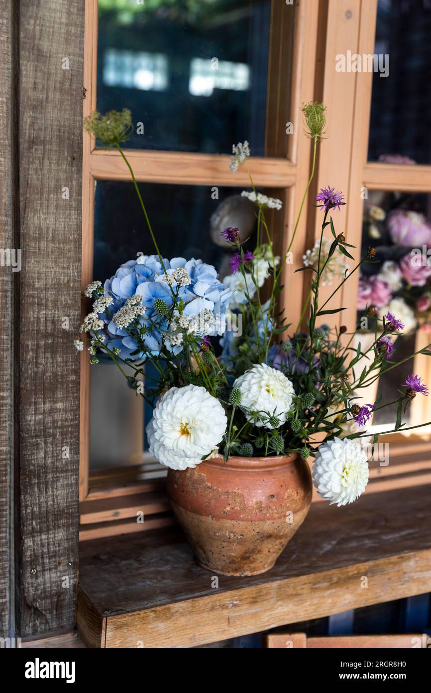 Ein rustikaler Strauß aus blauen Hortensien, weißen Chrysanthemen und Dahlien sowie Zichorien in einer braunen Flasche auf einem Holztisch als Dekoration der Veranda Stockfoto