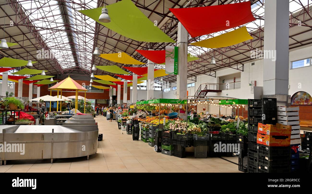 Im Inneren der lokalen Marktstände des Mercado Coletivo Aveiro, die frisches Obst, Gemüse, Fisch, andere Produkte, Portugal, verkaufen Stockfoto