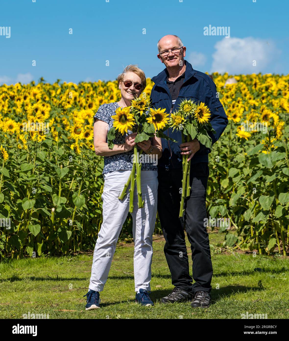 Balgone Farm, East Lothian, Schottland, Vereinigtes Königreich, 11