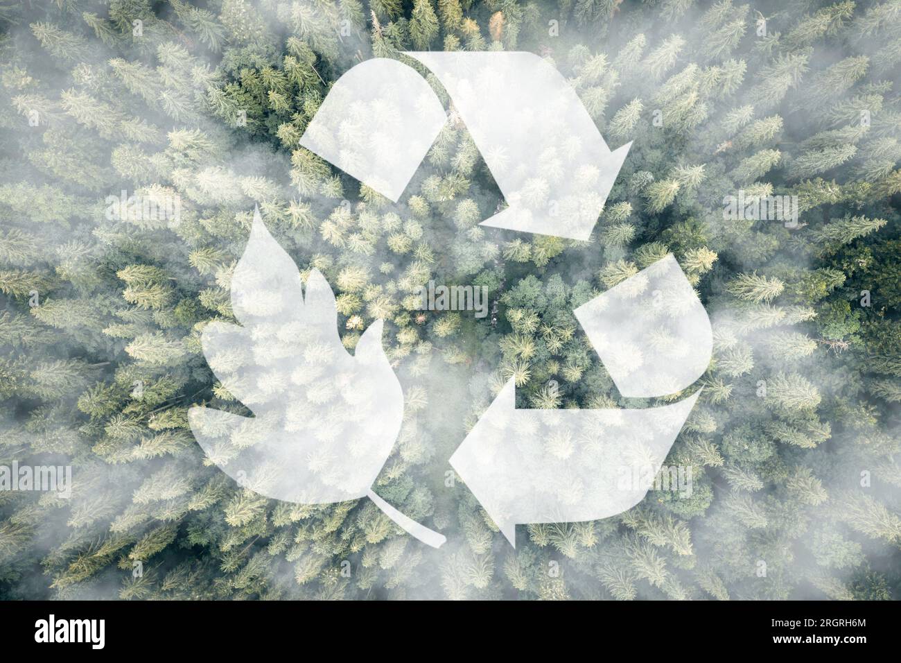 Symbol für Recycling und Abfallvermeidung inmitten eines wunderschönen, unberührten Dschungels für nachhaltige Umweltentwicklung auf der Draufsicht der Natur. SDG. Stockfoto