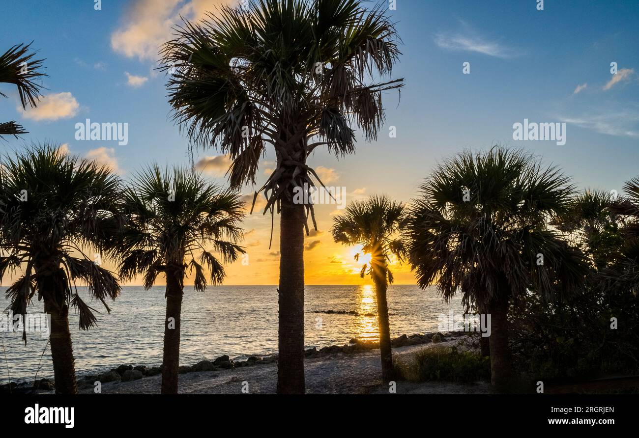 Am Caspersen Beach in Venice, Florida, USA, liegt die Sonne am Golf von Mexiko hinter silhouettierten Palmen Stockfoto