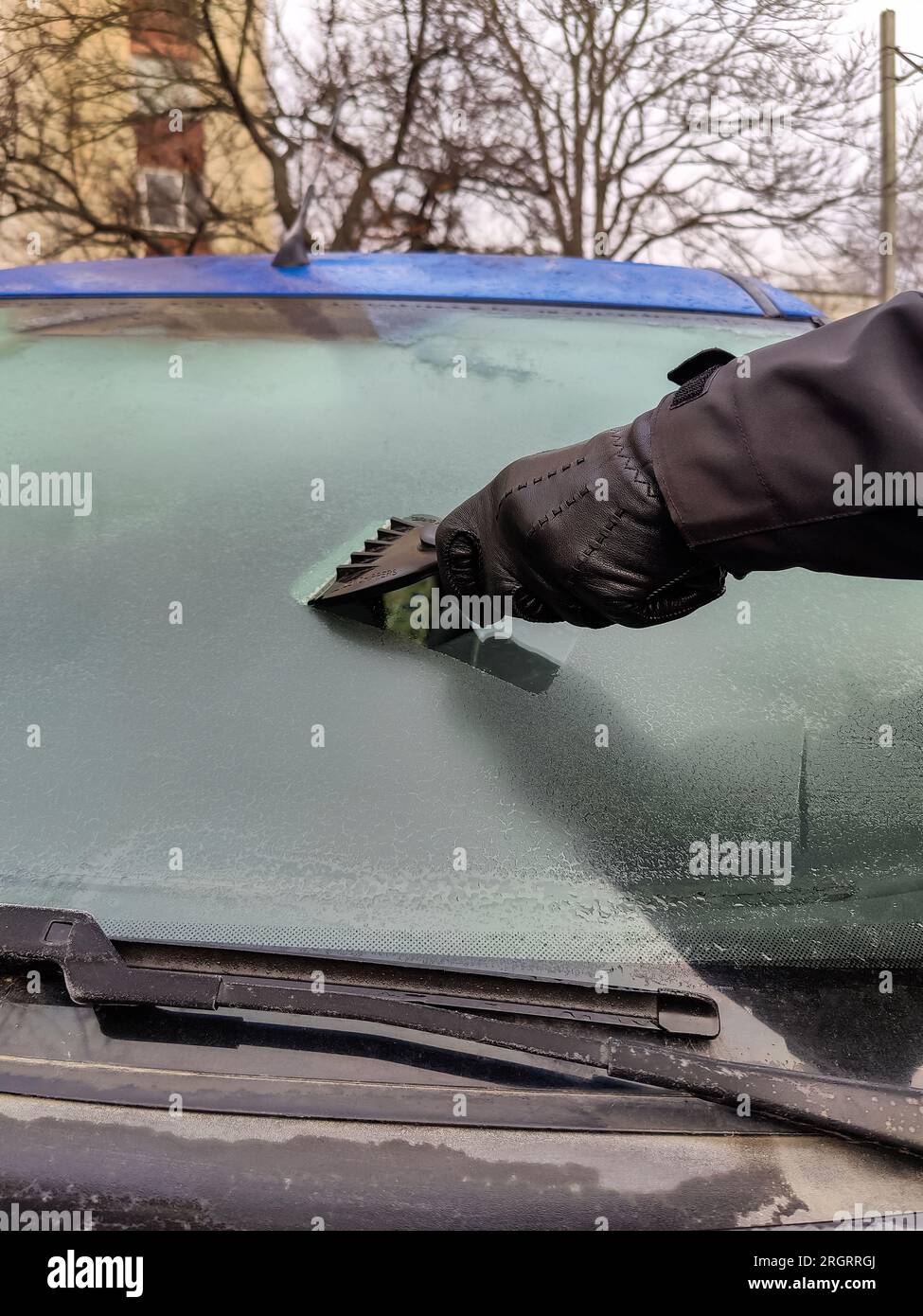 Autofenster im Winter reinigen. Der Mensch kratzt mit einem Plastikkratzer  von der Windschutzscheibe eines blauen Autos. Hand in schwarzem  Lederhandschuh im C Stockfotografie - Alamy