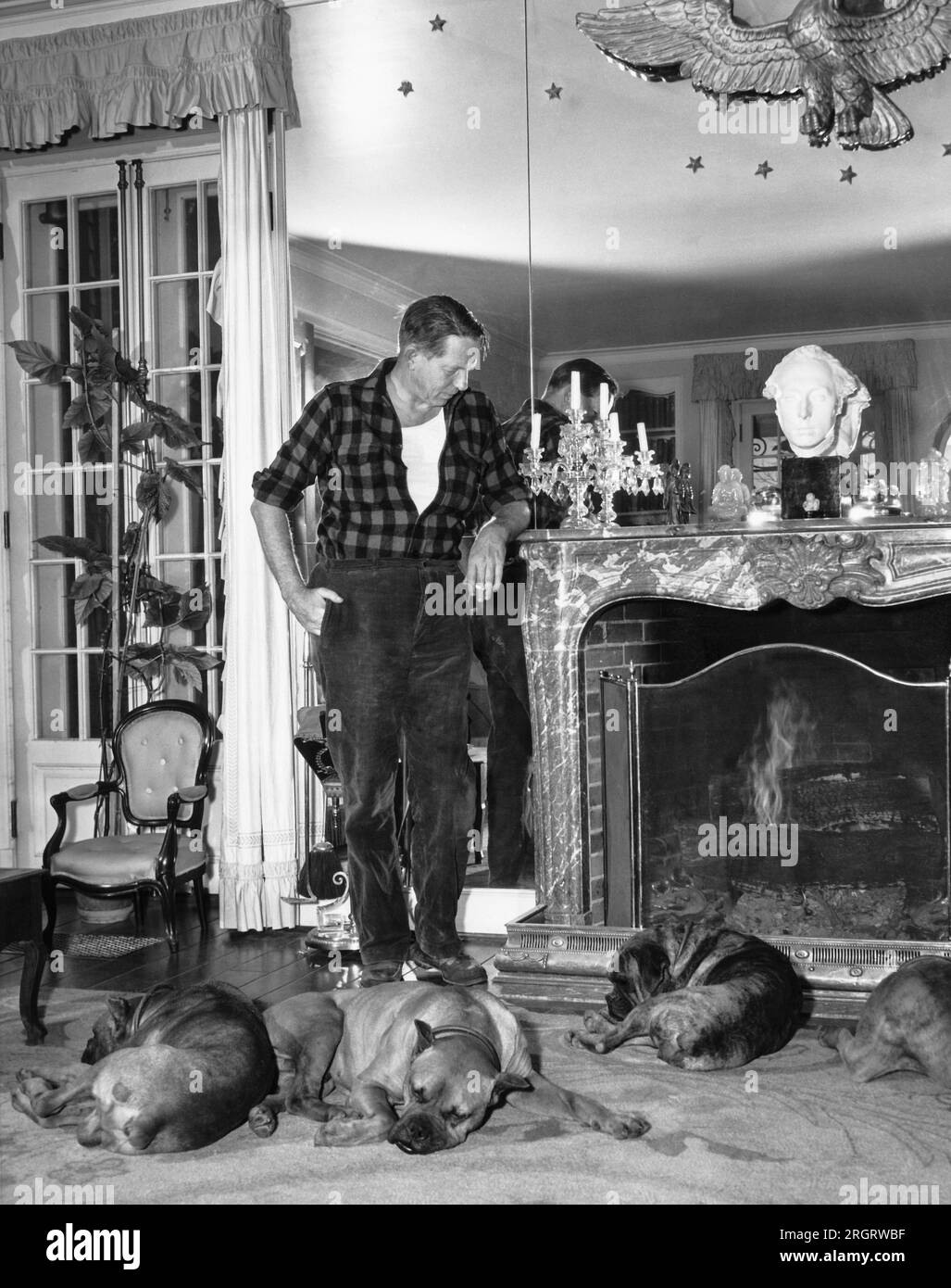 Lucas, Ohio: 4. Mai 1945 Farmer-Autor Louis Bromfield entspannt sich am Ende des Tages in seinem Haus, Malabar Farm, am Kamin mit vier seiner acht Boxerhunde . Stockfoto