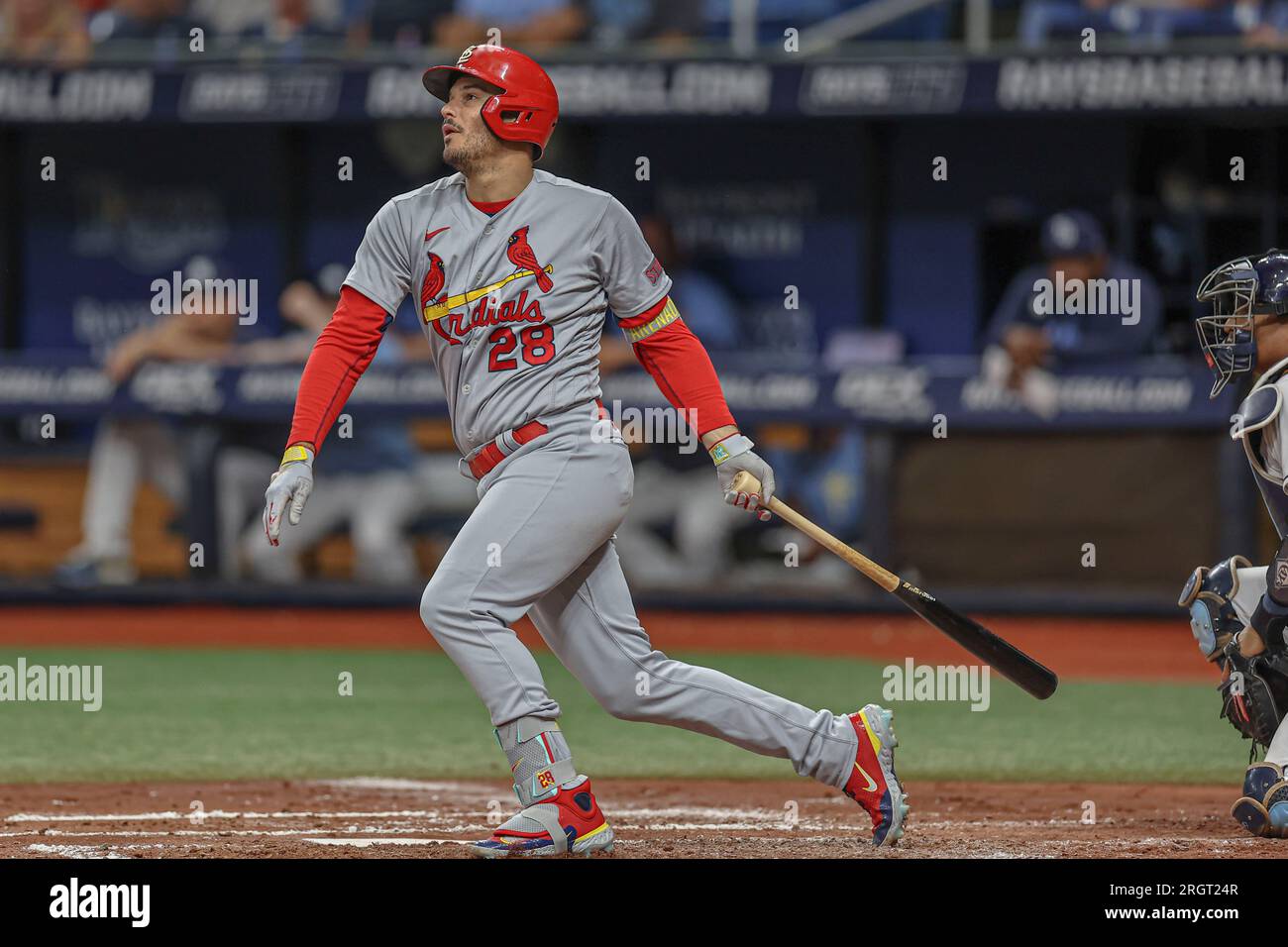 St. Petersburg, Florida, USA; während eines Spiels der MLB am Donnerstag, den 10. August 2023 auf dem Tropicana Field. Die Cardinals schlugen die Strahlen 5-2. (Kim Hukari/Bild: SpO Stockfoto