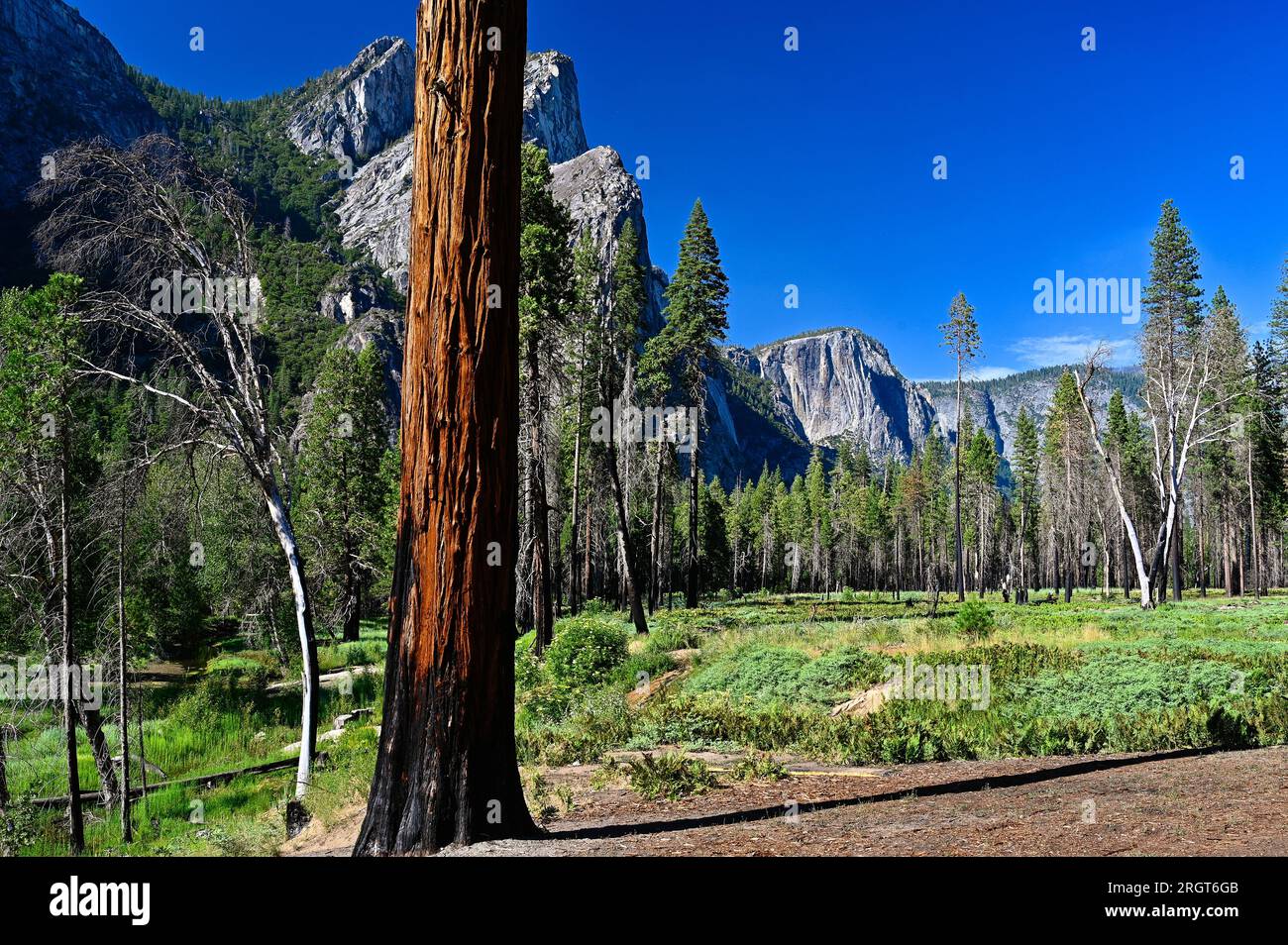 Wunderschöne Landschaft im Yosemite Valley, Kalifornien, USA Stockfoto