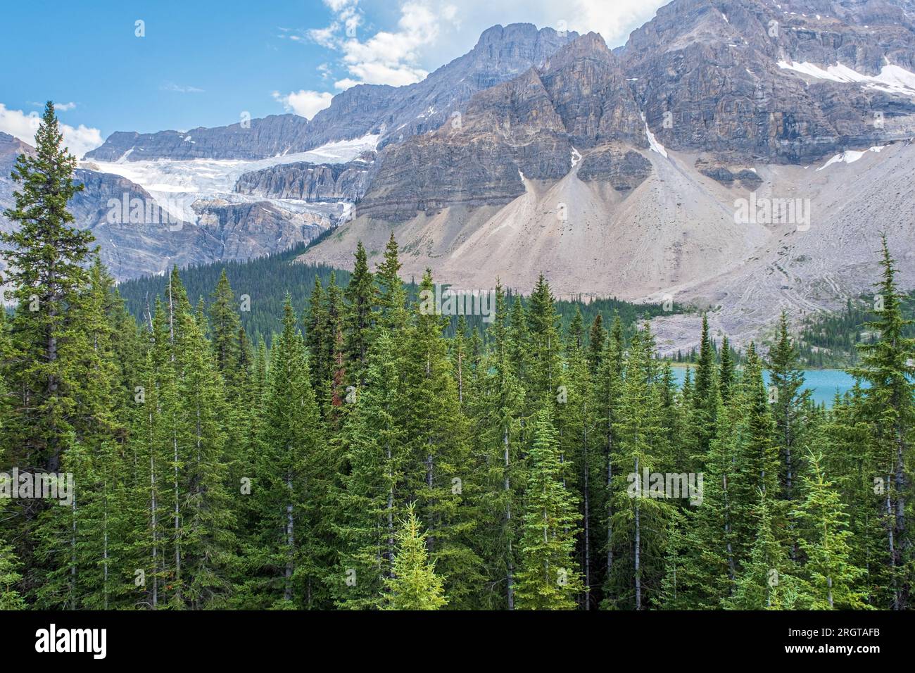 Fotografieren Sie ein wunderschönes Tal im Banff National Park mit seinen grünen Tannen und einem Tuquoise-See. Stockfoto