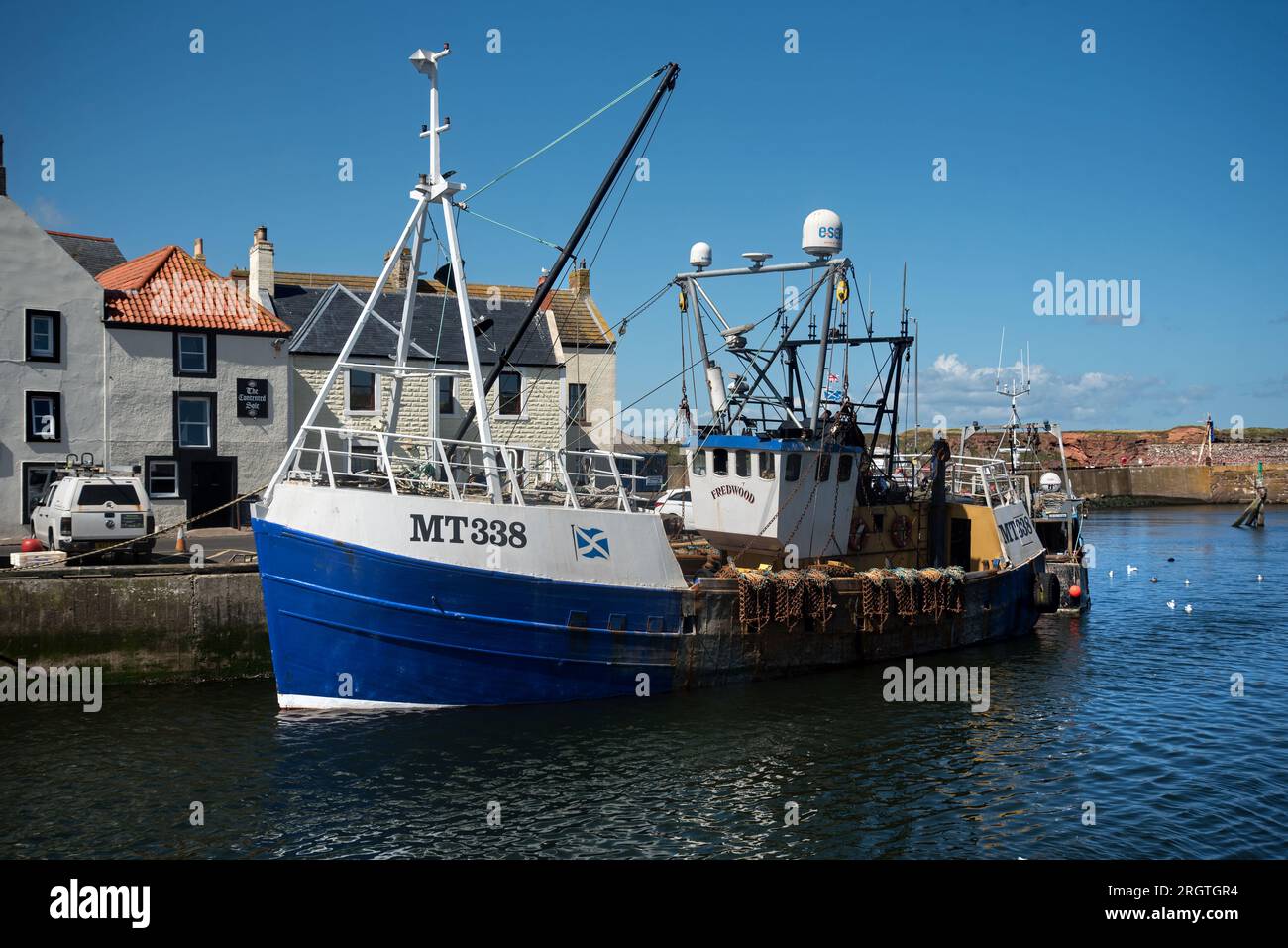 Fischerboot MT338 „Fredwood“, angelegt in Eyemouth Harbour, Berwickshire, Schottland, Großbritannien. Stockfoto