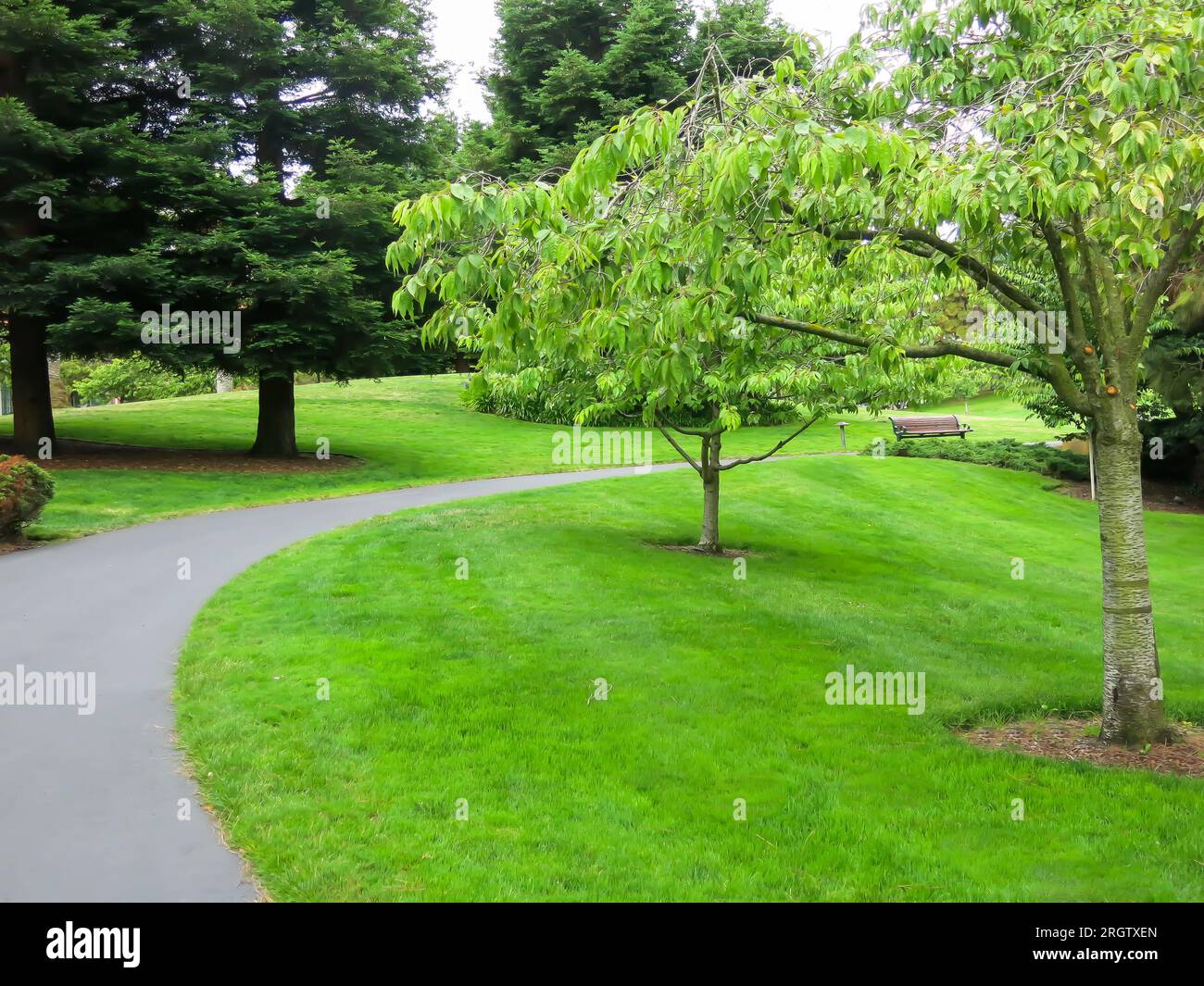 Presidio of San Francisco - in der Nähe des Chestnut-Eingangs Stockfoto