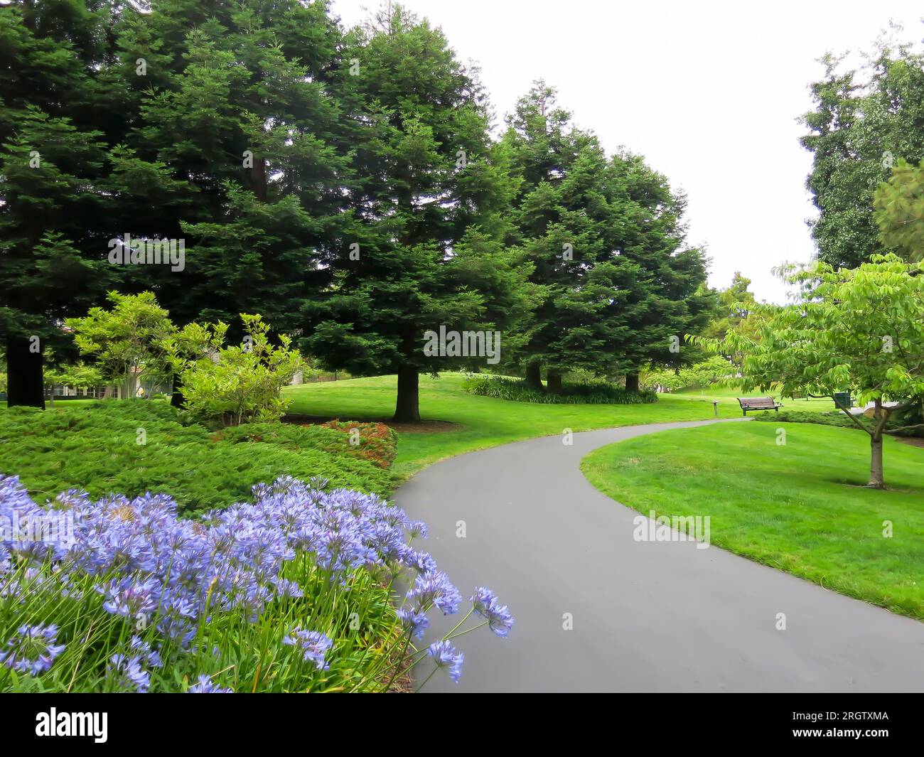 Presidio of San Francisco - in der Nähe des Chestnut-Eingangs Stockfoto